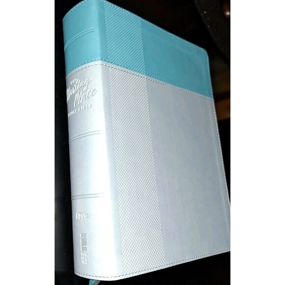 NIV, Starting Place Study Bible (An Introductory Study Bible), Leathersoft, Teal - Picture 1 of 14